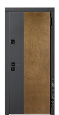 Входная дверь Гарда (вид снаружи) - купить в Твери